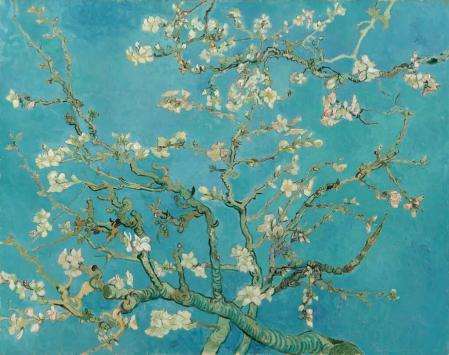 Amandier en fleurs de Vincent van Gogh